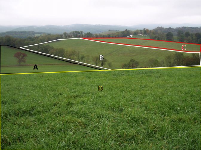 pastures divided into 4 areas (A,B,C,& D) for soil sampling purposes 