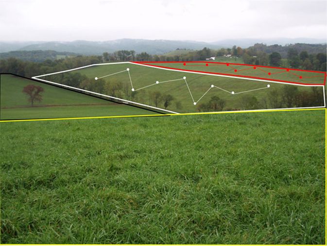pastures showing zigzag lines and dots where soil samples might be taken